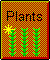 Garden Plants