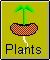 Plant Seeds